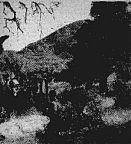 The Pygmies Surrounded the Party