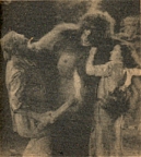In the Gorilla Pit
