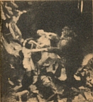 Tarzan Leaped into the Fight