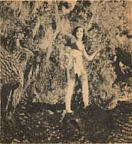 Jane Was Happy in the Jungle
