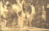 Connecticut Hall and Vanderbilt Hall at Yale University