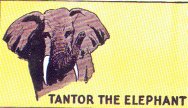TANTOR THE ELEPHANT ~ 34.04.15