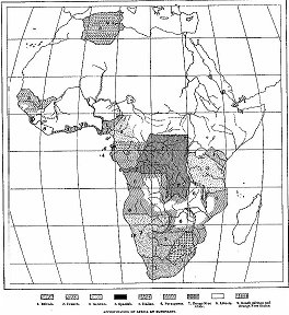 Appropriation of Africa by Europeans