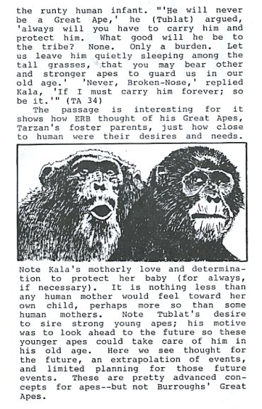 apes03.jpg