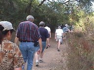 The Tarzana Safari