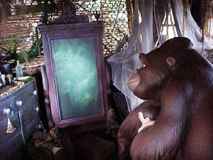 Under Kala's watchful eye Tarzan grew tall and strong,