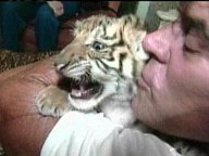 Steve Sipek and cub